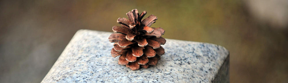 Coral Manuel Iradier